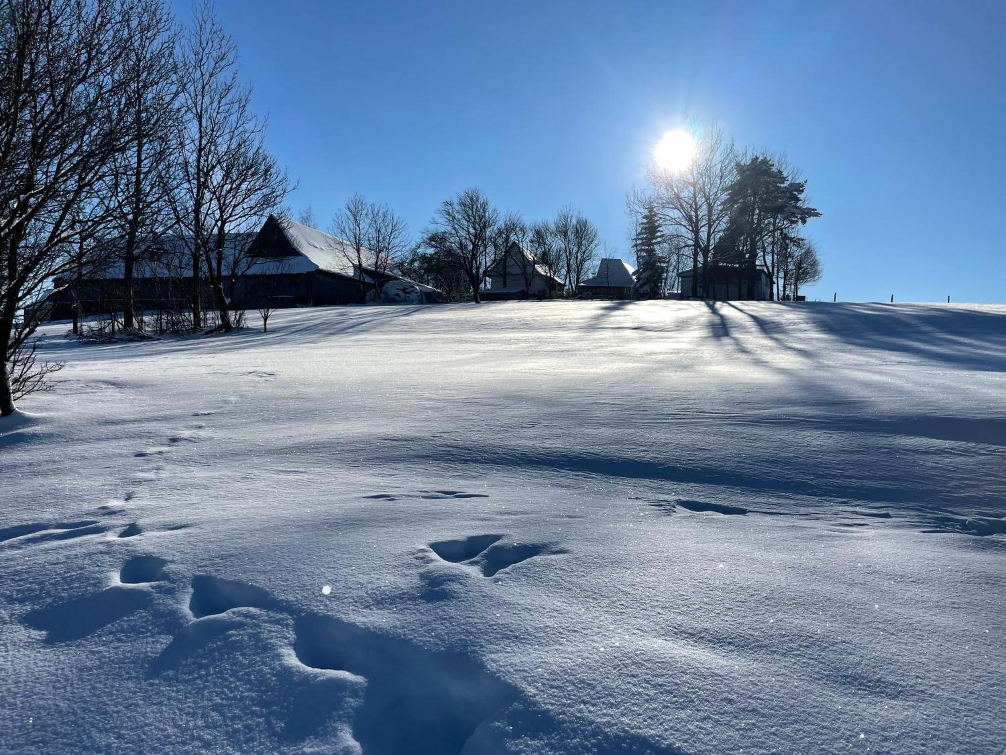 Tarasówka u Zająca Czerwienne Exterior foto
